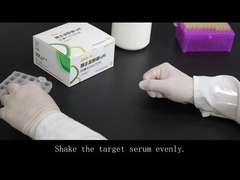 Teste rápido para a detecção dos anticorpos PM-IgM (ouro coloidal)