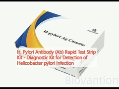 Kit de testes rápidos de tiras de anticorpos H. pylori (Ab) - Kit de diagnóstico para detecção da infecção por Helicobacter pylori