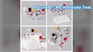 Kit de teste CMV ELISA detecta anticorpos contra citomegalovírus