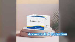 Kit IL-6 ELISA 96 testa detecção precisa