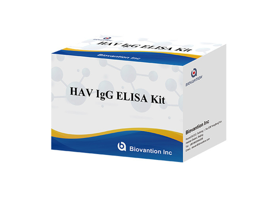 Hepatite de HAV IgG Elisa Kit Antibody Diagnostic Kit For um vírus