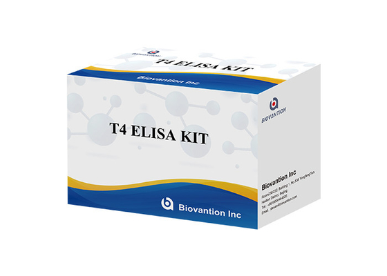 Thyroxine T4 Elisa Detection Kit Alta precisão de detecção Utilização hospitalar e laboratorial