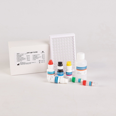 RUO HAV-IgM Kit Elisa