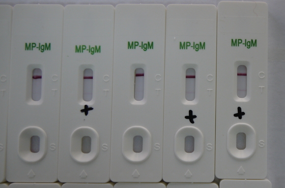 Urina Caixa de Teste de IgM de ouro coloidal MP com 24 meses de validade