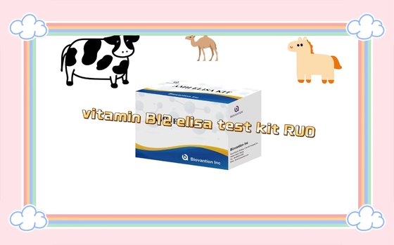Vitamina B12 Kit de ensaio Elisa de produtos ligados a enzimas