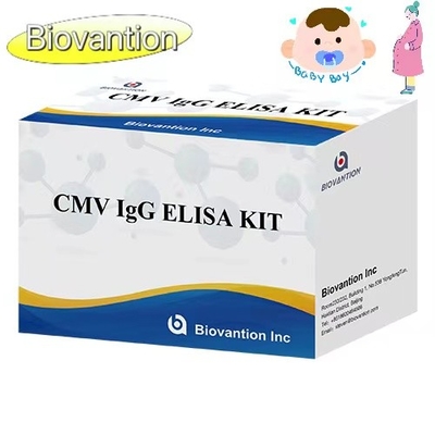 CMV IgG ELISA Kit Mulheres grávidas Teste preventivo Alta precisão