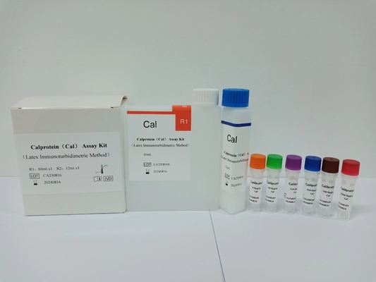 CalProtein 18 Meses Prazo de validade Serum/ Plasma Kit de Teste Elisa Para Análise Clínica de Laboratório