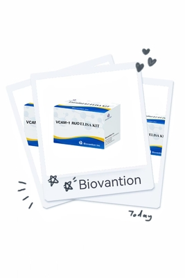 VCAM-1 RUO Elisa Kit Molecula de Adesão de Células Endoteliais Vasculares Humanas 1