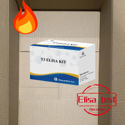 T3 Kit de Teste ElisaClínica do Hospital de Laboratório T3 Triiodotironina