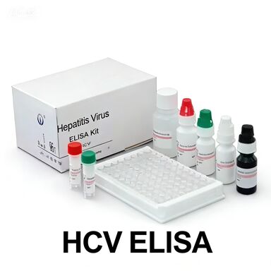 Anticorpos anti-HCV para o vírus da hepatite C Tempo de transporte ligado a enzimas curto