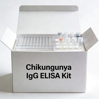 Kit ELISA IgG Chikungunya Para Uso em Diagnóstico In Vitro Reagente