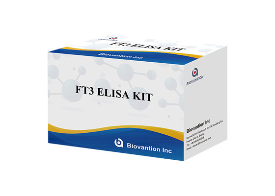 FT3 Elisa Test Kit análise de sangue livre do T3 do Triiodothyronine livre de 110 minutos