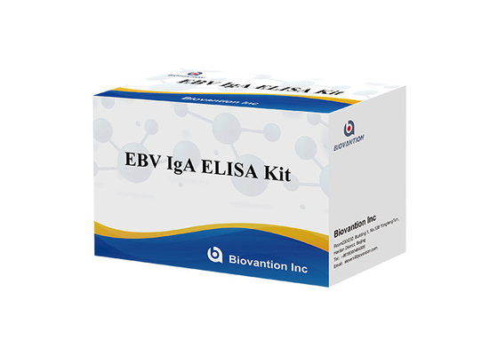 Espécime de EBV-VCA IgA Ab Test ELISA Kit Enzyme Immunoassay Test Plasma