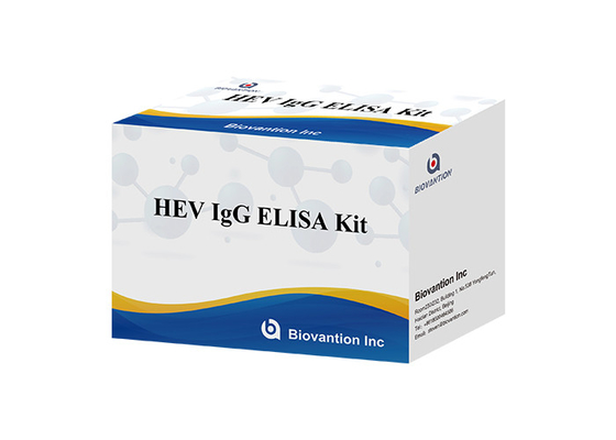 Anticorpo humano de HEV Igg Elisa Kit Diagnostic For IgG ao vírus da hepatite E