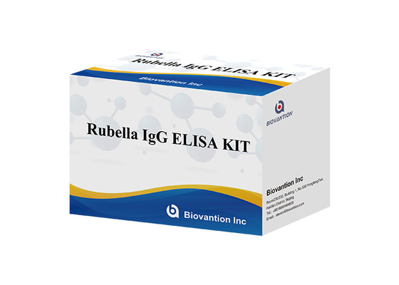Laboratório ou Hospital Kit de Teste ELISA IgG de Alta Precisão para a Rubéola