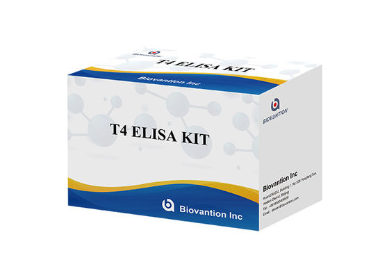 Kit de Detecção Elisa para Tiroxina T4