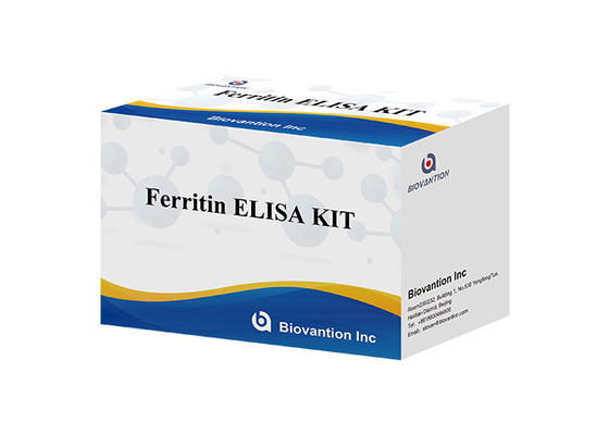 Para laboratório ou hospital Kit de ensaio de alta precisão de ferritina Elisa