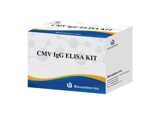 Laboratório ou hospital Kit de teste de alta precisão de CMV IgG ELISA