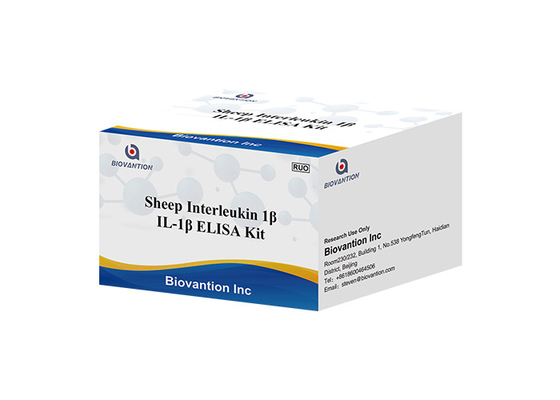 Interleukin dos carneiros 1 teste Kit Il 1b Elisa Kit de Beta Elisa Kit IL1F2 ELISA RUO