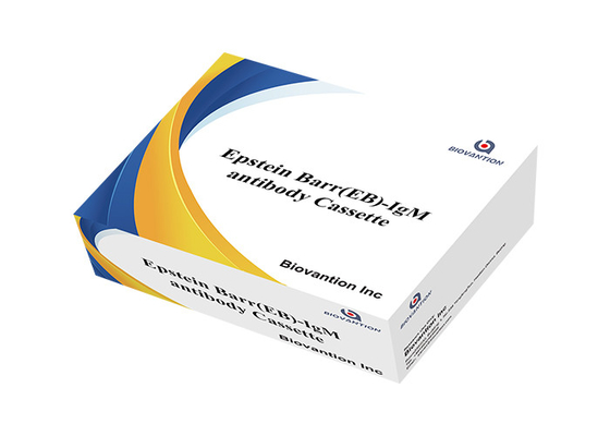 Epstein Barr EB IgG/IgM Rapid Cassette Test Detecção Data de expiração 24 Bocas