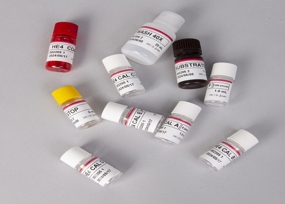 Alfa-fetoproteína AFP Elisa Kit de Teste para Laboratório ou Hospital