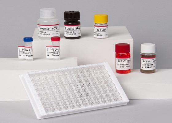 Alta precisão para laboratório ou hospital Alta precisão RUO Human TNF-α Elisa Test Kit
