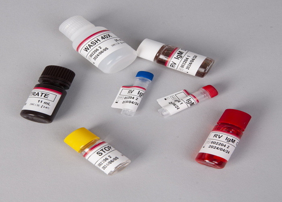 Para a detecção de anticorpos totais contra Treponema pallidum no soro ou plasma humano