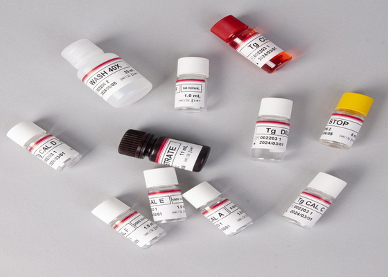 E2 Kit de ensaio ELISA Detecção in vitro Detecção médica Alta precisão