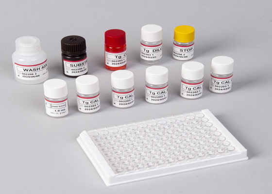 E2 Kit de ensaio ELISA Detecção in vitro Detecção médica Alta precisão