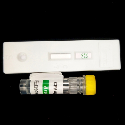 Serum Hormônio de estimulação da tireóide 96 Kit de reagentes de Tsh Elisa para 96 pessoas