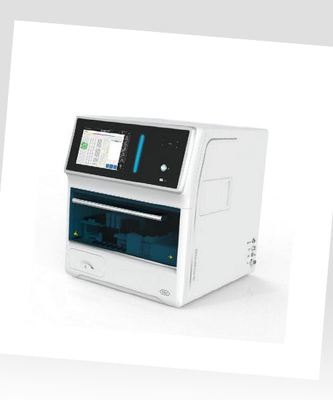 Nova atualização GBI-MAP 800Plus Laboratório de tamanho pequeno Hospital usa analisador automático de imunoanálise de quimioluminescência