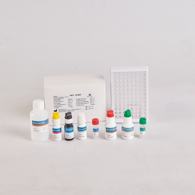 Kit Elisa de PTH humano/Kit Elisa de Hormônio Paratireóide Humano para RUO com 96 testes