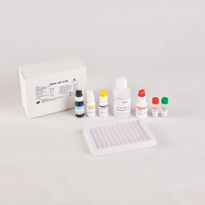 Kit de ensaio de Brucella elisa RUO Kit de ensaio de Elisa de produtos ligados a enzimas