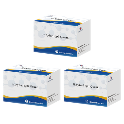 H.Pylori IgG Quant. Kit Elisa Origem Kit de Teste Elisa Format Kit da Biovantion