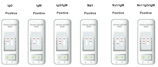 Hospitais, Centros Médicos, Kit de Teste de IgG e IgM de Dengue