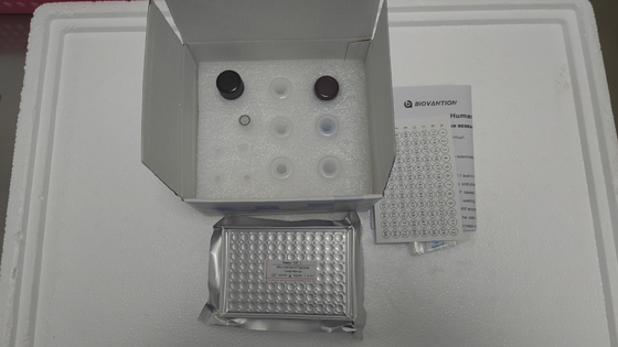 Fator de crescimento humano semelhante à insulina-1 Kit ELISA para utilização em investigação/ IGF-1 Kit Elisa