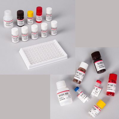 Kit Elisa Pro-BNP humano / Kit Elisa peptídeo natriurético pro-cérebro
