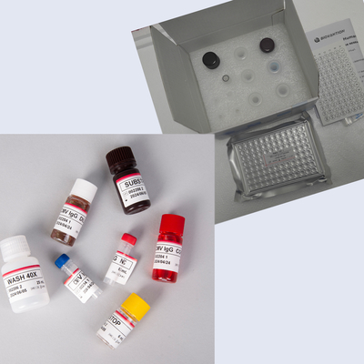 Kit Elisa MEPI humano com 96T