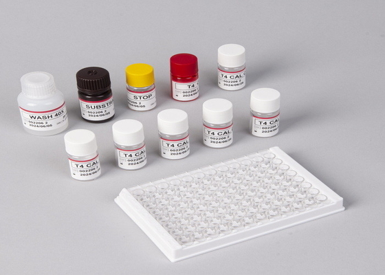 Thyroxine T4 Elisa Detection Kit Alta precisão de detecção Utilização hospitalar e laboratorial