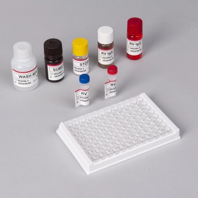 Kit de ensaio RV-G Elisa para diagnóstico do tipo de amostra de plasma