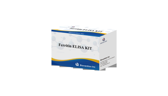 Ferritina ELisa kit de teste Sensibilidade séria rápida Elisa Test Biovantion 2-3 horas Tempo de análise 2-8.C Armazenamento