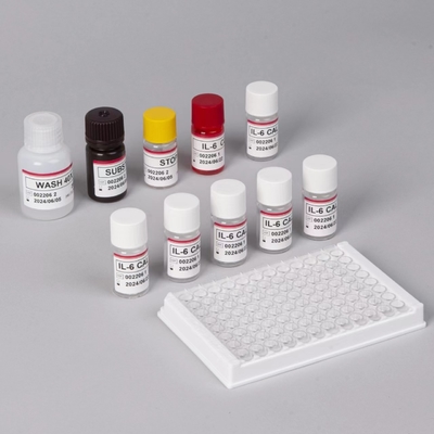 IL-6 Interleucina 6 Kit de Teste Elisa com Tempo de Análise de 2-3 Horas Biovanção Sero/ Formato de Plasma 18 meses Prazo de validade