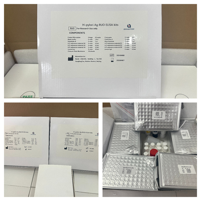 H Pylori ELISA Test Kit 480test/kit Elisa Screening Kit Resultados