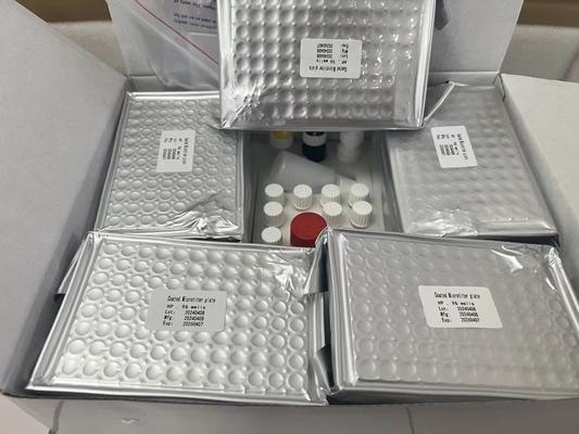 H Pylori ELISA Test Kit 480test/kit Elisa Screening Kit Resultados