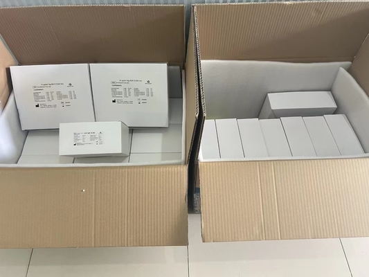 H Pylori ELISA Test Kit 480test/kit Elisa Screening Kit Resultados