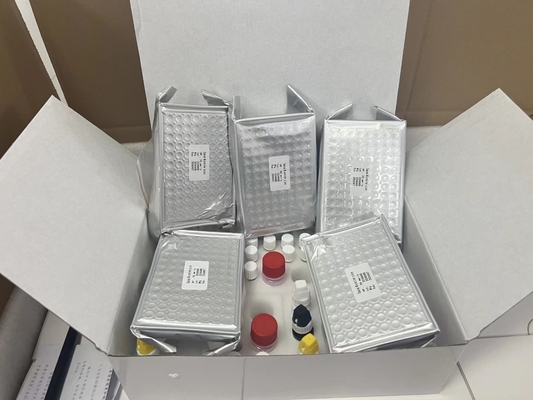 11-dehidro-tromboxano B2 11dhTxB2 Kit de ensaio ELISA IVD Alta precisão e operação simples
