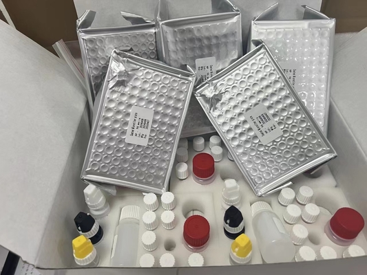 11-dehidro-tromboxano B2 11dhTxB2 Kit de ensaio ELISA IVD Alta precisão e operação simples