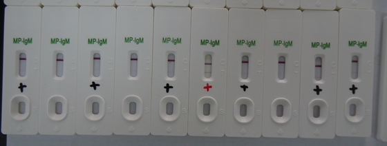 Urina Caixa de Teste de IgM de ouro coloidal MP com 24 meses de validade
