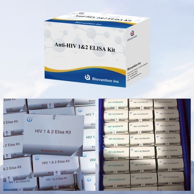 Biovantion Anti- HIV ELISA Test Kit 18 meses Prazo de validade para testes de HIV-1 e HIV-2