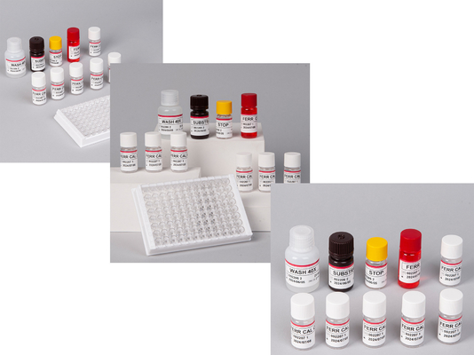 Laboratório ou Hospital High Precision Human Ferritin FE ELISA TEST KIT